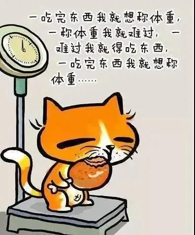 f2809a1af2b543ee8e2807cc4b38dfa5.jpg f2809a1af2b543ee8e2807cc4b38dfa5.jpg